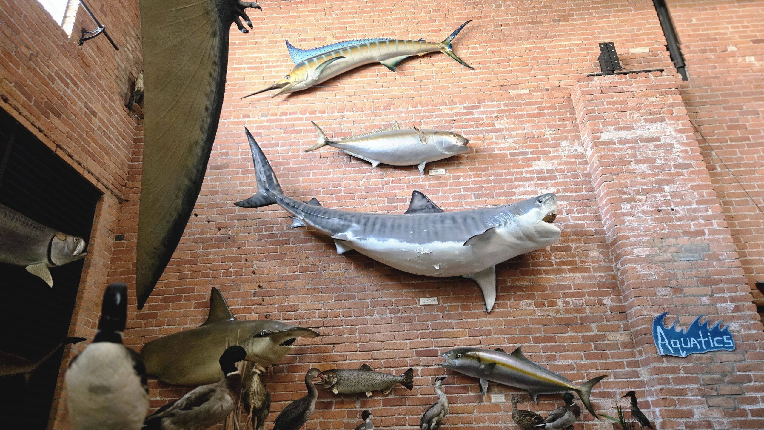 a23c71f00c6684a99b52ea3fb0292af5c6bb14ad